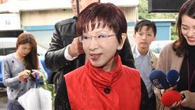 前國民黨主席洪秀柱陪同前國民黨文傳會副主委毛嘉慶前往投票罷免黃國昌。 圖／記者林敬旻攝