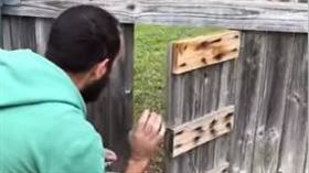 看房見「最萌鄰居」　網勸：快搬進去（圖／翻攝自Dogspotting Society臉書）