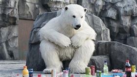 名家專用／iLOOKER電影網（勿用）