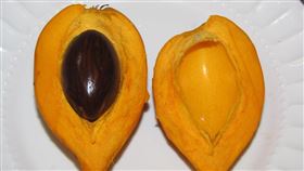 仙桃,黃金果,水果,口感,肉燥
https://www.flickr.com/photos/forest-and-kim/8563299745/in/photolist-e3H9F4-2f4rps9-F36ksm-23aHKkH-5cAcQA-nJagrg-21DTRdr-duKKPN-xhACvD-2roo2V-siXkDb-nPidFA-xiatdR-bdYBWT-6hibKW-6hhXgs-