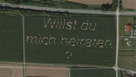 玉米田,求婚,谷哥,地圖,德國(翻攝自Google衛星圖)