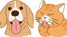 名家專用／毛起來MAOUP（勿用）