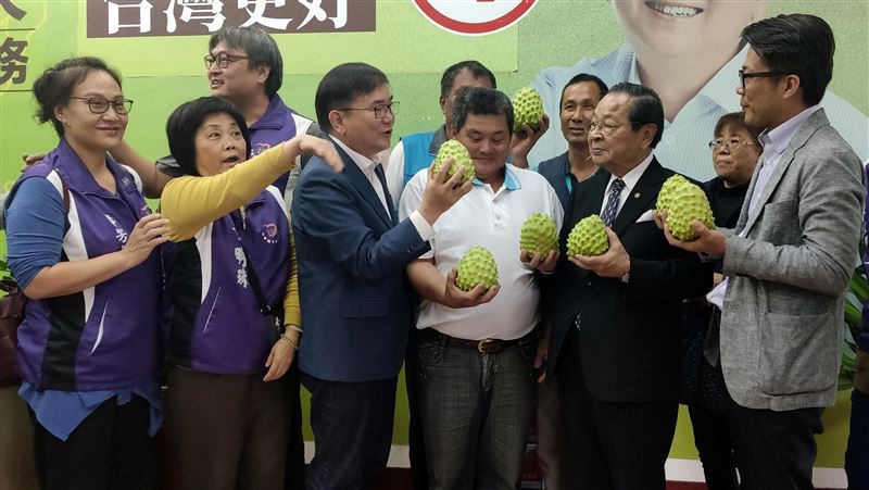 不打悲情牌　小英之友會團購台東釋迦