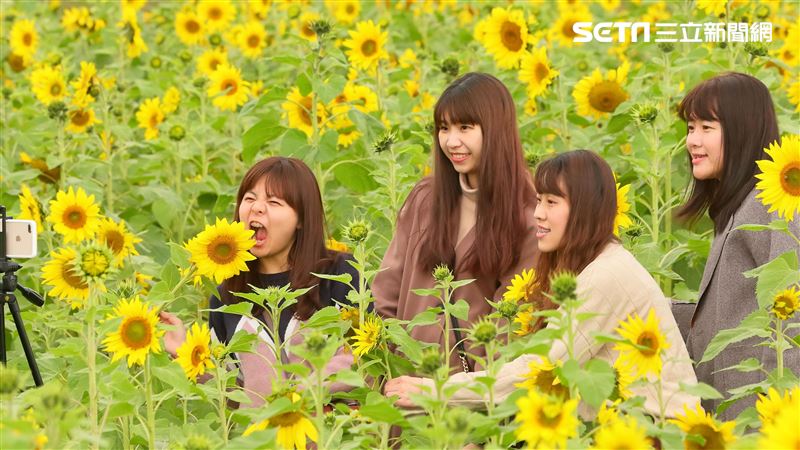 脫口罩抗疫？邱復生：到花蓮來深呼吸