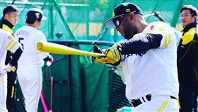 ▲軟銀鷹洋砲巴倫汀（Wladimir Balentien）。（圖／翻攝自巴倫汀IG）