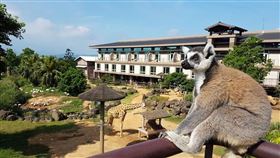 ▲買一送一；六福莊（圖／六福旅遊集團提供）