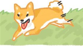 名家專用／毛起來MAOUP（勿用）