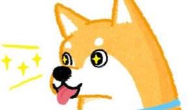 名家專用／毛起來MAOUP（勿用）