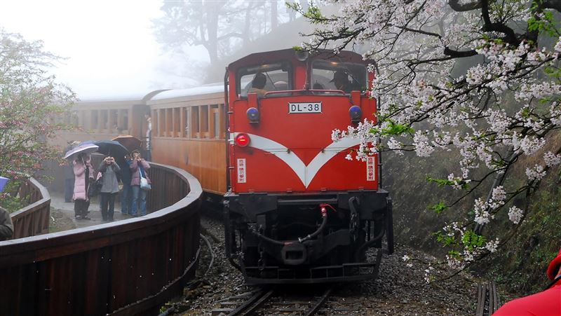 阿里山花季　推主題列車遊程深入祕境