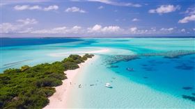 名家專用／草根影響力新視野（勿用）
