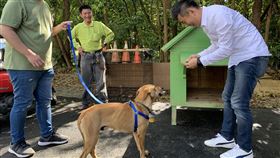 流浪犬出任台南山上花園水道博物館園長台南山上花園水道博物館收編一隻米克斯流浪犬，15日決定命名為「園長」，館方表示，園長將兼負博物館員工區的守望工作，日後再視情況將牠送到園區與遊客互動。（台南山上花園水道博物館提供）中央社記者張榮祥台南傳真　109年2月15日