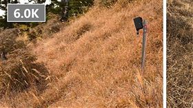 雪霸海拔3100公尺處設監測相機　不翼而飛雪霸國家公園管理處副處長鄭瑞昌15日表示，為監測高山杜鵑生長情形，中興大學團隊在雪霸國家公園雪東線海拔3100公尺處架設2部自動相機，近期突然不見蹤影，設於6公里處的相機僅剩鐵架（右），盼山友協尋。（雪霸國家公園管理處提供）中央社記者管瑞平傳真　109年2月15日