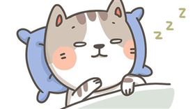 名家專用／毛起來MAOUP（勿用）