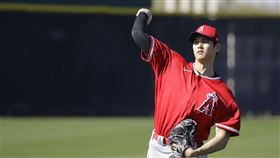 大谷翔平參加春訓。（圖／美聯社／達志影像)