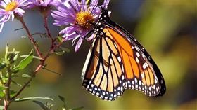 名家專用／草根影響力新視野（勿用）