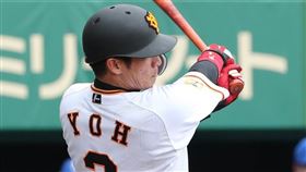 陽岱鋼春訓熱身賽。（圖／讀賣巨人台灣粉絲團）