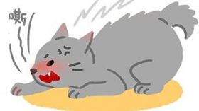 名家專用／毛起來MAOUP（勿用）