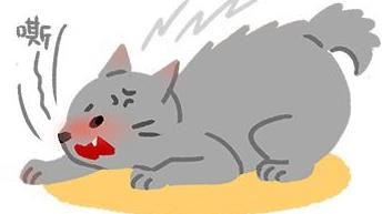 貓狗大戰誰能勝出？