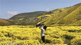 名家專用／草根影響力新視野（勿用）
