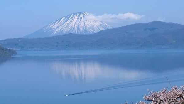 賞芝櫻•看花火　北海道早鳥送小費