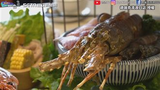 新竹超高CP值鍋物　大龍蝦千元有找
