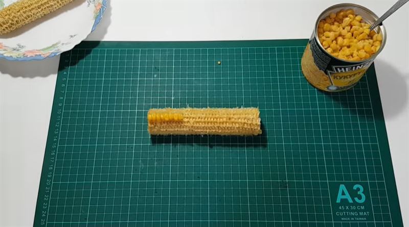 玉米罐頭有幾根玉米？他回填結果是…