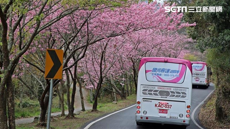228連假返鄉　90條客運路線優惠