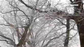 太平山降到零下2度　銀白世界如仙境