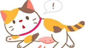 名家專用／毛起來MAOUP（勿用）