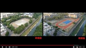 懶得掃落葉！高雄校長花人民納稅錢　砍光校園130棵樹