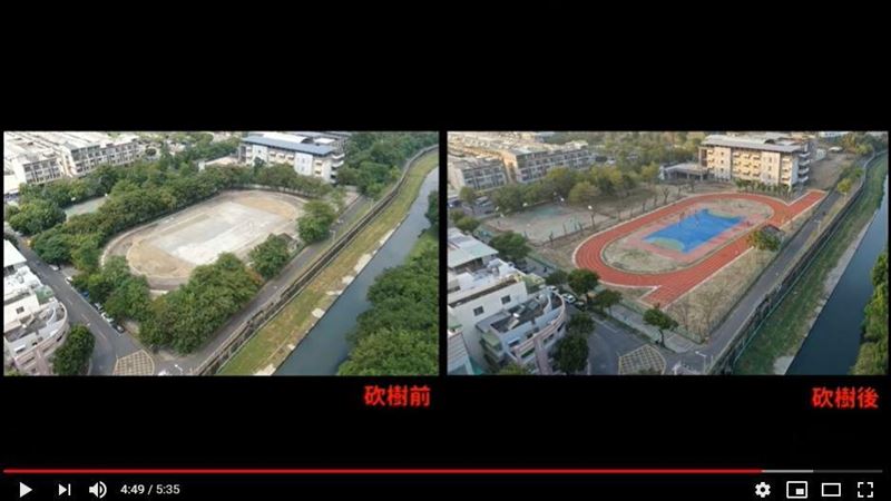 懶得掃落葉！高雄校長砍光130棵樹