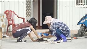 台灣近1/4偏鄉孩童在隔代教養的環境下成長。（圖／廠商提供）