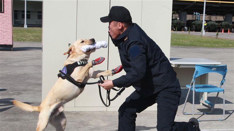 超萌！憲兵抓毒有絕招　3緝毒犬編組
