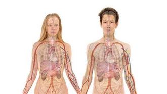 抗新冠肺炎必懂的三個字 吳明珠說