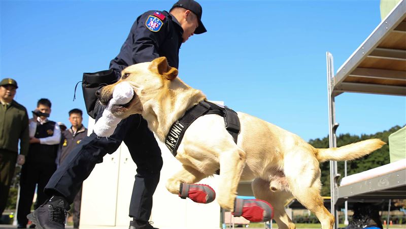 憲兵緝毒犬不能太親近人　防執勤失誤