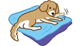 名家專用／毛起來MAOUP（勿用）