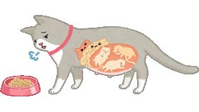 名家專用／毛起來MAOUP（勿用）