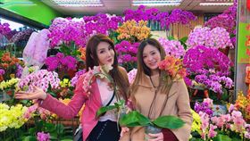 楊麗菁、劉真。（翻攝自臉書）