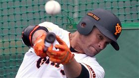 ▲讀賣巨人外野手洋將Gerardo Parra。（圖／翻攝自讀賣巨人官方粉絲團）