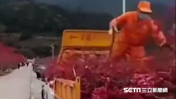 救肺炎？中國大砍桃花林　居民全傻眼