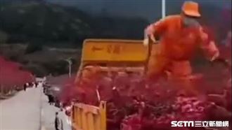 救肺炎？中國大砍桃花林　居民全傻眼