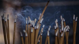 「倒插香」敗風水！楊登嵙曝超毛真相