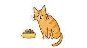 名家專用／毛起來MAOUP（勿用）