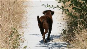 狗狗
https://www.flickr.com/photos/12567713@N00/2647774067/in/photolist-52YwZ2-2JEmRM-NC4FgA-752GNx-bTsFYH-bpvSmo-bATasW-2Zd7BZ-dp8PV-7JFNNF-5Bxd34-6ee8p2-otiMQe-pvBem7-mcCUgR-9JYTEB-6i1dyz-dRUY6n-mcBMM