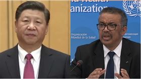習近平,WHO秘書長（組合圖／資料照）