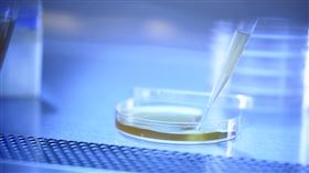 重視天然營養的老字號保健品牌——大漢酵素。（圖／廠商提供）