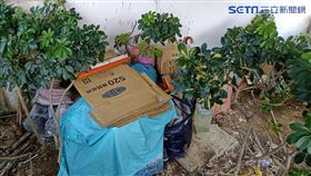 管永安,武漢肺炎,居家檢疫,淡水