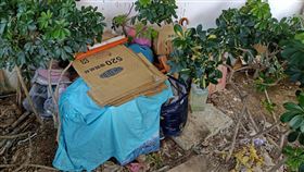 新北市，淡水，管永安，查獲，武漢肺炎，記者游承霖攝影