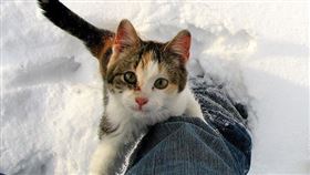 名家專用／毛起來MAOUP（勿用）