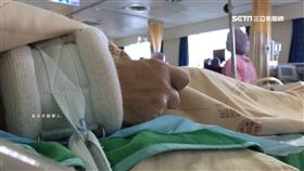 醫護,醫師,護士,護理師,病房,手術,醫院,病人,病患